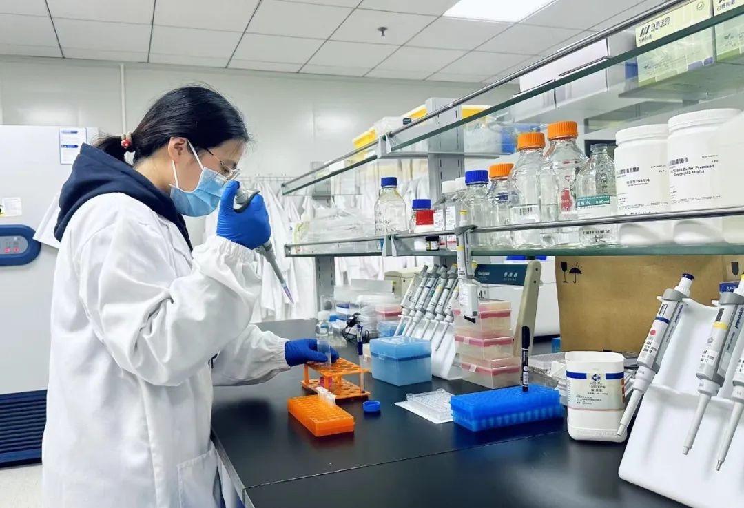 让迷奇生物在市场竞争中稳步前行