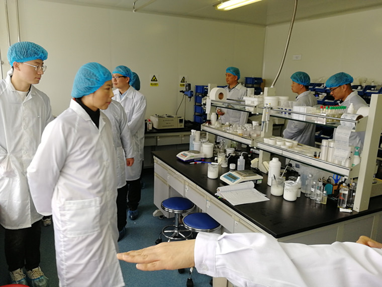 公司积极拓展明星达人合作与线下实体布局