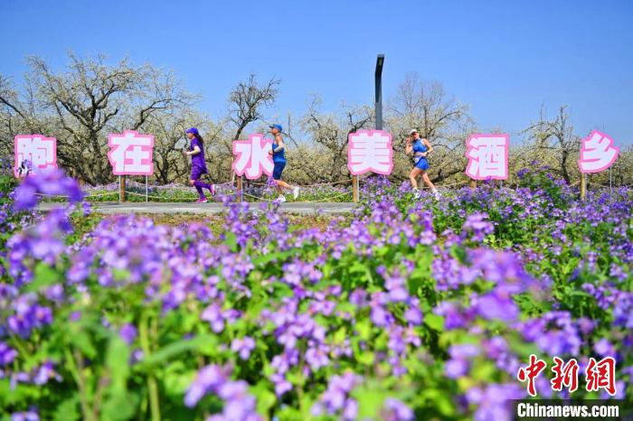 2024京东宿迁马拉松鸣枪开跑 1.2万跑者共赏春日美