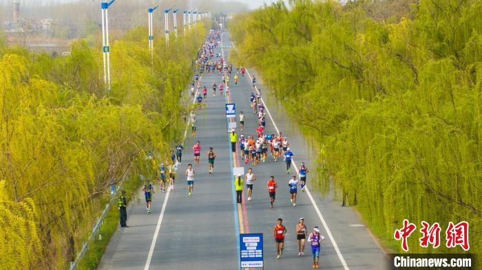 2024京东宿迁马拉松鸣枪开跑 1.2万跑者共赏春日美