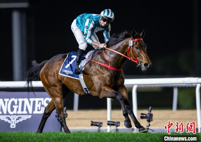 浪漫勇士迪拜夺冠创历史 首匹四地赛马10冠传奇